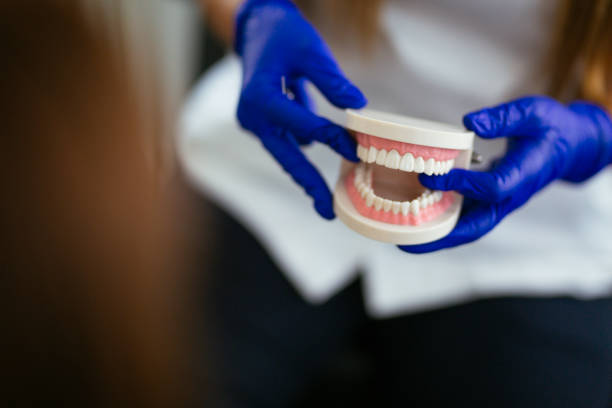 Professional  Holistic Dental Services in Bridgewater Center, NJ